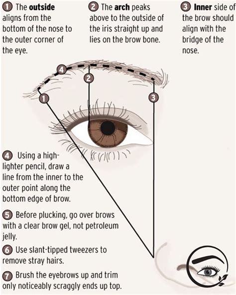 Mapping Your Eyebrows - I start by using the Golden Ratio to determine ...