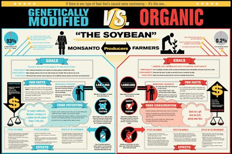 The Soybean: GMO vs. Organic [infographic] - organic.org