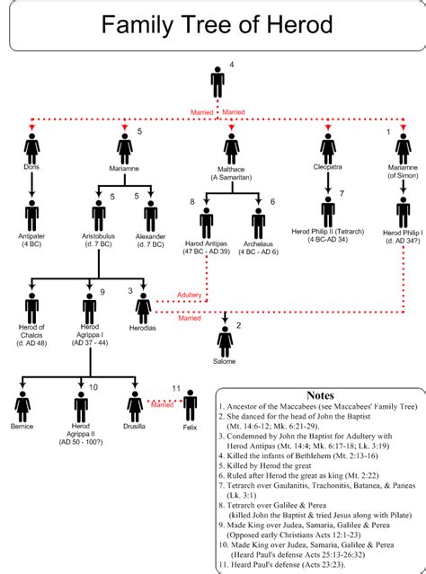 Swartzentrover.com | Herod's Family Tree | Bible topics, Hebrew bible ...