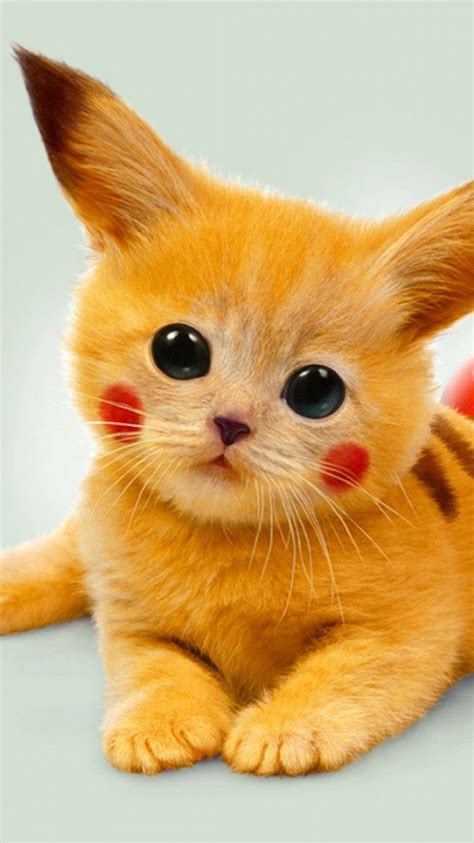 gatitos lindos y tiernos - Buscar con Google | Pikachu cat, Kittens ...