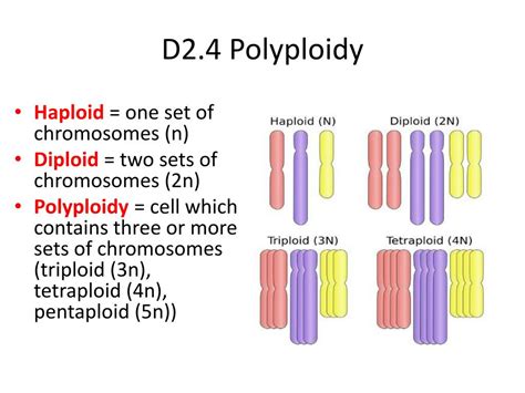 Polyploidy Breeding