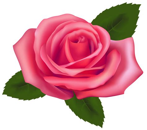 Free Roses Clipart, Download Free Roses Clipart png images, Free ...