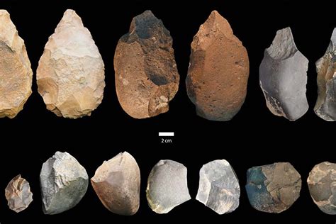 Federal Ventilación Depender de homo erectus y sus herramientas ...