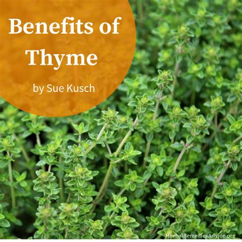 Health Benefits of Thyme