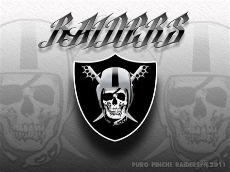 Download Raiders Skull Logo Wallpaper | Wallpapers.com