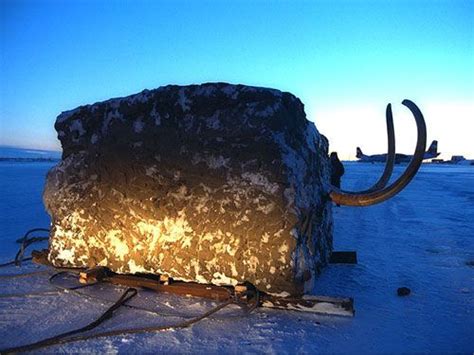 That’s no ordinary block of ice. The Jarkov Mammoth, shortly after it ...