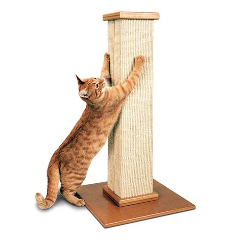 SmartCat Ultimate Scratching Post | Petco