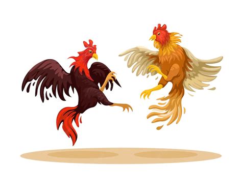 Vector de ilustración de juego de pelea de animales tradicional de ...