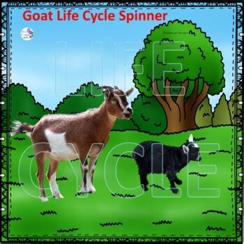 Goat (Life Cycle Spinner) by Donna Thompson | TPT