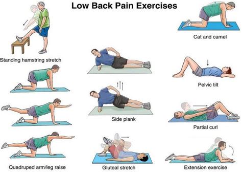 Pin on Physiotherapy Exercises For Back Pain