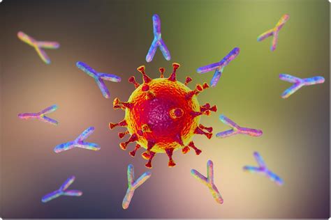 Monoclonal Antibody - Alternatives For Treating Non-Hodgkin's Lymphoma ...