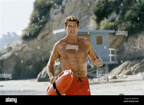 Hasselhoff Spongebob