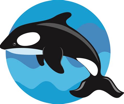 Killer Whale Cartoon - ClipArt Best