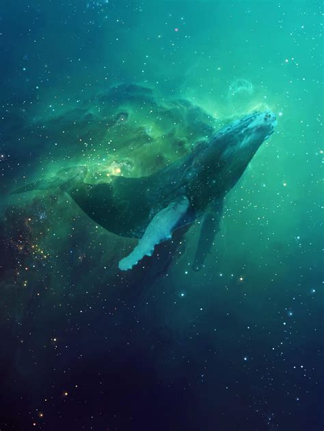 Cosmic Whale (OC) | Whale painting, Whale art, Whale