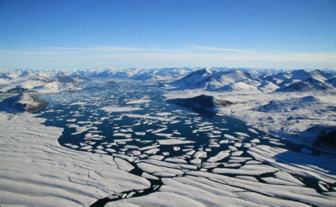 Habitat of the Harp Seal