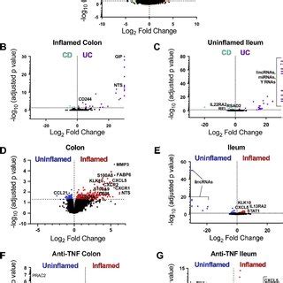 CD11b + cell differential gene expression analysis across multiple ...