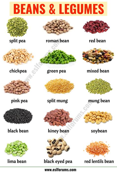 Types of Beans: 15 Different Types of Beans & Legumes with the Picture ...