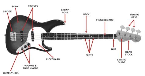 Bass neck diagrams - blacklomi