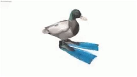 Spinning Duck GIF - Spinning Duck - Discover & Share GIFs