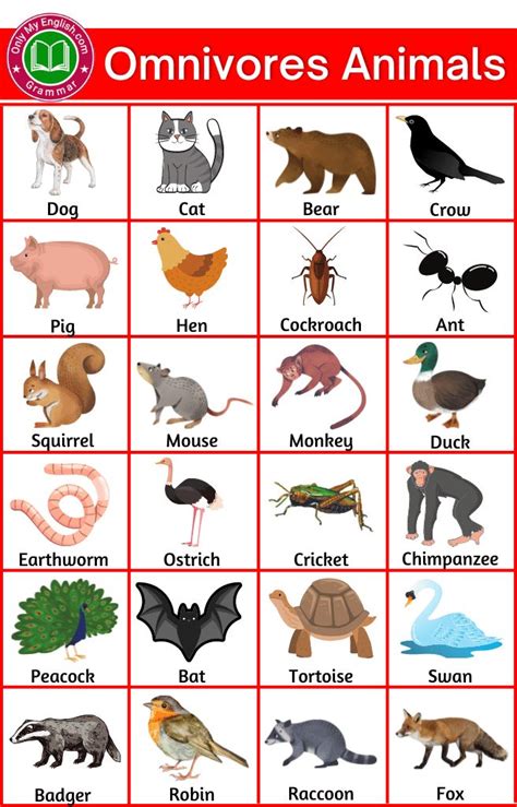 an image of animals that can be used to teach children about the ...