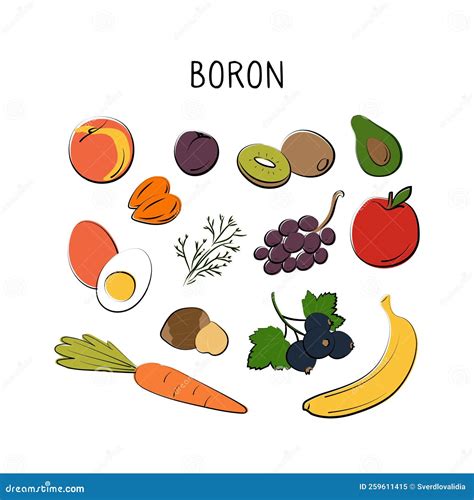 Boron-containing Food. Groups of Healthy Products Containing Vitamins ...