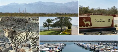 Kalba - explore mangroves, wildlife centres, lake, hiking..