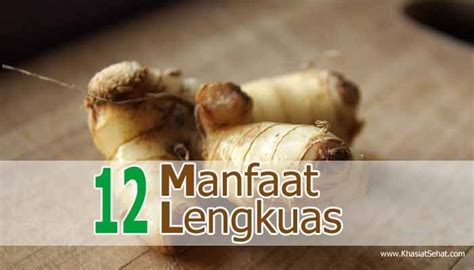 12 Manfaat Lengkuas untuk Kesehatan - Khasiat Sehat