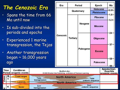 Mesozoic Era Timeline And Important Facts