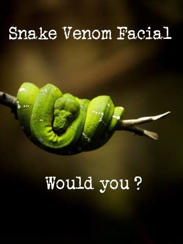 An Indian's Makeup Blog!: Snake Venom In A Bottle