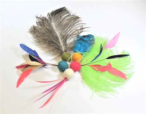 Feather Cat Toys / Assorted Cat Toys/ Cat Toy / Catnip Infused - Etsy