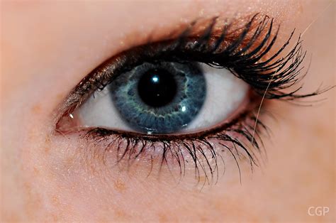 File:Human eye - blue.JPG - Wikimedia Commons