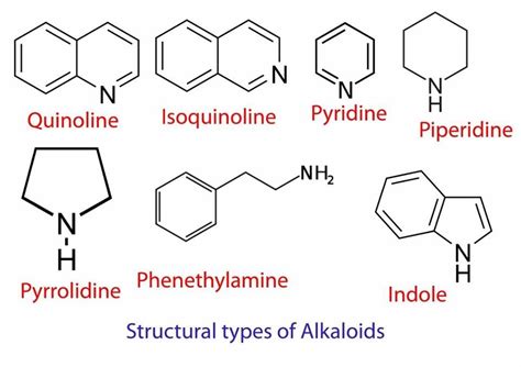 Structural types of Alkaloids | Ciencia