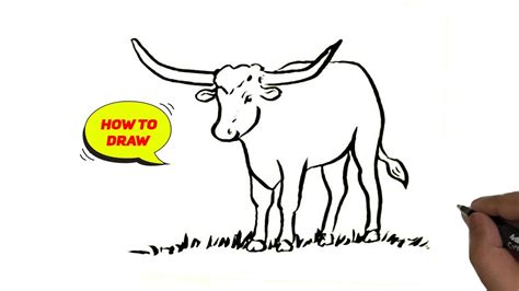 How to draw Longhorn Cow easy and step by step - YouTube