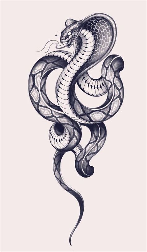 215+ King Cobra Tattoo Ideas (2023) - TattoosBoyGirl | Kobra tattoo ...