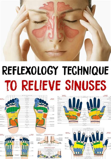 Pin on Sinus Pressure Points