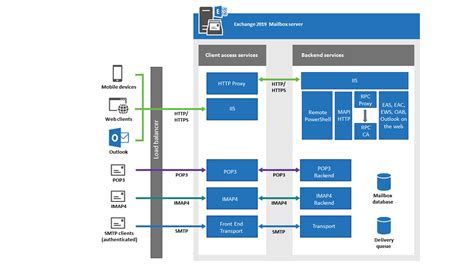 Exchange 2019 Mailbox Server: Services and Components. - Virtual Maestro