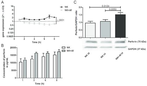 Gene expression and intra-and extracellular protein levels of perforin ...