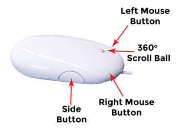 aterrizaje Noticias de última hora Lamer function of mouse cada ...