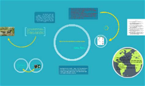 Elephant and Manatee Evolution by Ashley Flores on Prezi