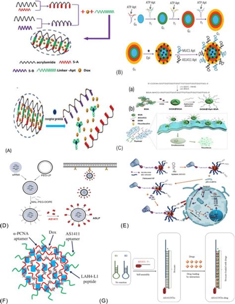 A Synthesis process of aptamer functionalized hydrogel. B The working ...