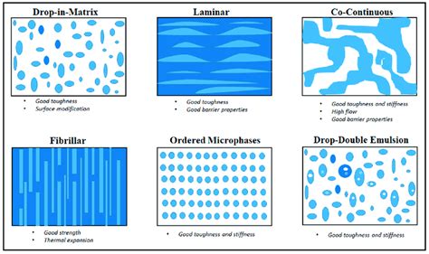 Types of morphology in immiscible polymer blends. | Download Scientific ...