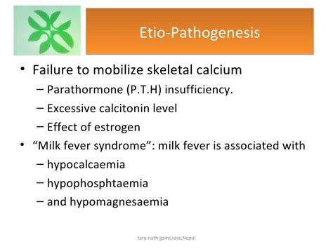 Recent diagnosis and treatment of milk fever in