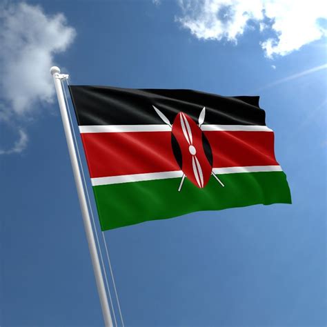 Meet the man who took Kenyan flag to the moon