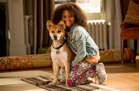 Annie (2014), directed by Will Gluck | Film review