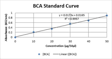 BCA PROTEIN ASSAY - MedatogaFood analysis team