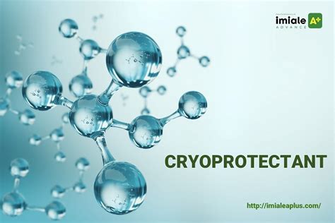 Công nghệ bao kép Cryoprotectant – Đột phá mới trong công nghệ sản xuất ...