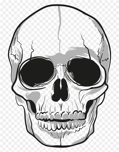 Easy To Draw Skulls Step - Skull And Crossbones PNG - FlyClipart