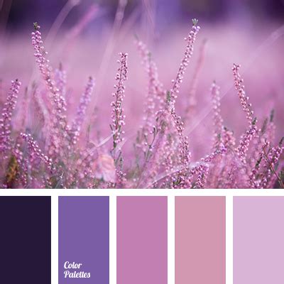 lavender colors | Color Palette Ideas