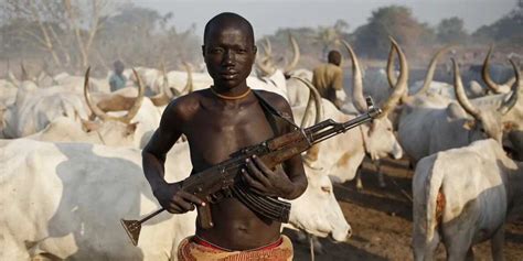 History of Fulani Herdsmen in Nigeria and today's crisis Legit.ng