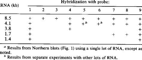 Summary of probe hybridization in Northern blot analysisa | Download ...